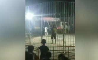 河南原陽一馬戲團(tuán)幼虎從籠中逃脫，當(dāng)?shù)卣o急抓捕