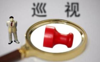 涨知识｜干部公示中频频出现的“一级巡视员”是什么情况？