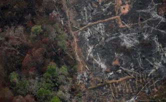 巴西軍方：亞馬孫雨林布朗多尼亞地區(qū)火災(zāi)已被基本撲滅