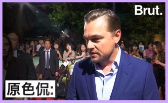“小李子”捐款500萬支援亞馬遜叢林滅火