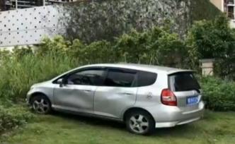 深圳一車主把車停上公共綠化帶，3小時被罰3230元