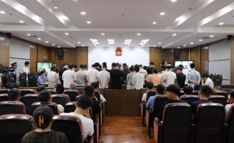 操控郵幣卡漲跌，扮“白富美”詐騙過億元，團(tuán)伙主犯被判無期