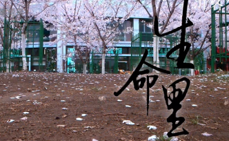 医院的墙壁，聆听了比教堂更多的祷告