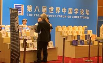 中國學(xué)論壇丨日本專家建言“一帶一路”與第三方市場合作對接