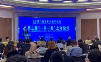 中國學(xué)論壇丨李成：消除對“一帶一路”的誤解需更廣闊的視野