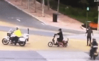 遛狗不拴繩狗被碾，肇事者表示沒錢賠