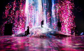 對話|teamLab創(chuàng)始人豬子壽之：在美術館體驗自然萬象