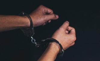 樹擋莊稼釀血案致3死1傷，四川宣漢重大刑案嫌疑人被抓獲