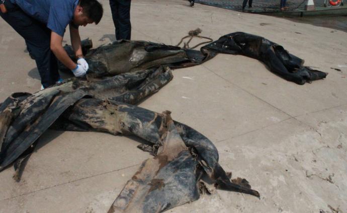 “游動(dòng)的三峽水怪”被打撈上岸，系氣囊