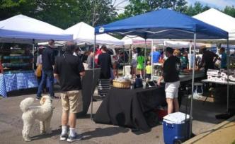 八百亩地的挣扎 | 美国农夫市集笔记