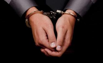 山東棗莊一女子涉嫌偽造國家機(jī)關(guān)證件