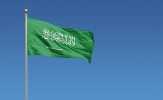 外媒：沙特阿拉伯將加入美國發(fā)起的“護(hù)航聯(lián)盟”