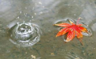 周末又要“泡湯”！臺風(fēng)“塔巴”或于周日中午越過上海同緯度