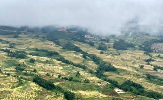 云南元陽哈尼梯田：尋找“綠水青山就是金山銀山”實踐范本