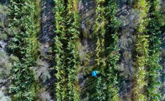 人與自然｜種出食材本身的味道