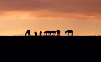 《出塞书》：心怀天问的行者，踽踽独行于辽远苍茫的西北旷野