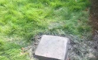 一樓住戶欲裝“定日鏡”反射陽光入戶，因硬化小區(qū)綠地將被罰