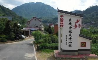 大學(xué)生調(diào)研④｜共治與共享：寧國(guó)市畬鄉(xiāng)農(nóng)家樂(lè)協(xié)會(huì)的多重角色