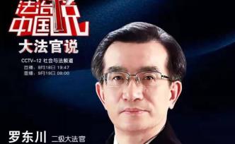 羅東川：讓更多中外當(dāng)事人選擇國際商事法庭解決爭端