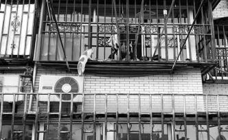 小區(qū)史｜樓下的萬(wàn)師傅