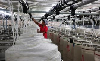 劉邦故里沛縣轉(zhuǎn)型發(fā)展，采煤塌陷地“廢地”變經(jīng)濟(jì)新增長點(diǎn)