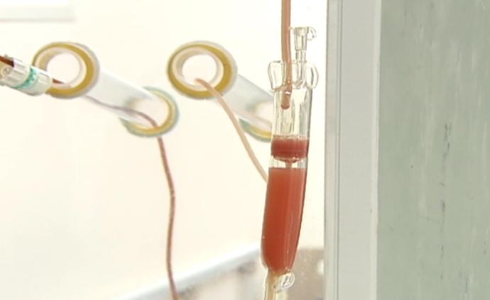 海峽兩岸接力,運送干細胞救血液病患者