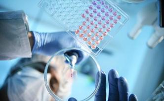 新突破：iPS細(xì)胞可同時(shí)培育肝臟、膽管和胰臟3種迷你器官