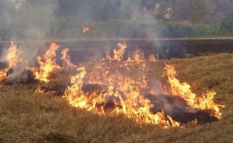 黑龍江全域全時(shí)段全面禁燒秸稈，“第一把火”將被省政府約談