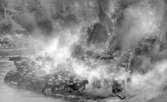 陳亞強(qiáng)：曠野有眼