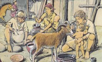 古董“奶瓶”：科学家首次发现史前婴儿用“奶瓶”喂养的证据