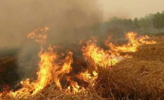 山东新泰存焚烧秸秆现象被通报，对相关责任人启动问责机制