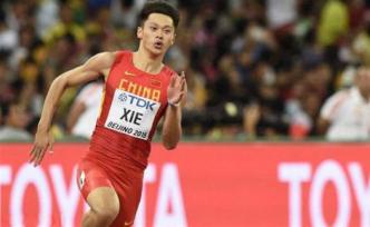 體壇聯(lián)播 | 歐冠拜仁狂勝熱刺，謝震業(yè)200米第7創(chuàng)歷史