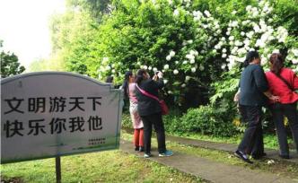 人民日報銳評：出游，請帶上“文明”這個行囊