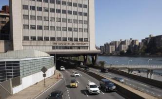 象牙塔之巅丨美国理工科博士：轮转和PI制度下的师生关系