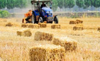 河南省副省長武國定：全力做好“三秋”生產(chǎn)及秸稈禁燒工作