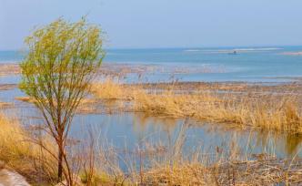 邢鋼搬遷引發(fā)衡水湖保護與發(fā)展討論：一條主線算清三本賬