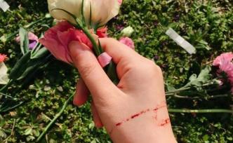 3年3次進入精神病院，一位雙相情感障礙女生的自述