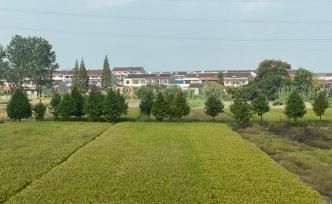 農(nóng)村集體經(jīng)營性建設(shè)用地入市細(xì)則正制定，或成穩(wěn)定房市利器