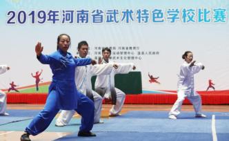 2019年河南省武术特色学校比赛在陈家沟拉开帷幕