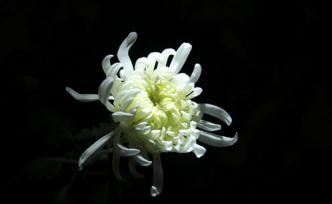 丁石孫病逝：在數(shù)學領域造詣頗高，教學頗受學生贊揚