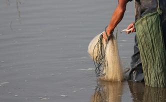 长江已到“无鱼”等级，全面禁渔迫在眉睫