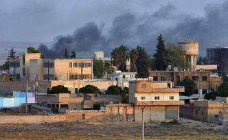 美防長：埃爾多安應(yīng)為敘利亞北部可能爆發(fā)的人道主義災(zāi)難負(fù)責(zé)