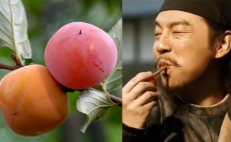 熱播劇帶紅火晶柿子，果農(nóng)預(yù)售2.5萬(wàn)斤