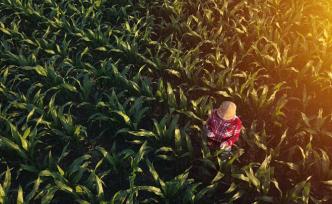 首都農(nóng)民如何從“吃飽了”到“富起來”？