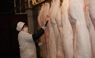 農(nóng)業(yè)農(nóng)村部：制定生豬市場保護(hù)價格政策尚無法實(shí)施