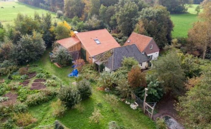 荷蘭隱世家庭？兄妹6人地下室生存9年