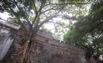 南寧僅存古墻被撐裂，文物部門：已加固