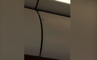 首航機(jī)艙內(nèi)有“蒼蠅”？航司已介入處理