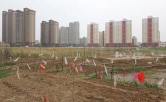 山東：加強處置批而未供和閑置土地，對嚴重失信主體實施懲戒