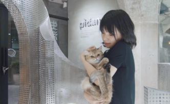 小姐姐給自家貓做貓砂盆，獲得德國(guó)紅點(diǎn)設(shè)計(jì)大獎(jiǎng)